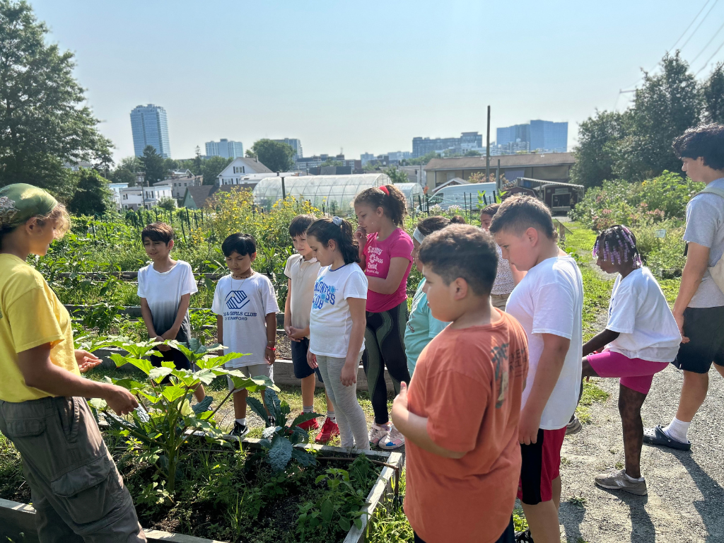 Health & Nutrition Programming